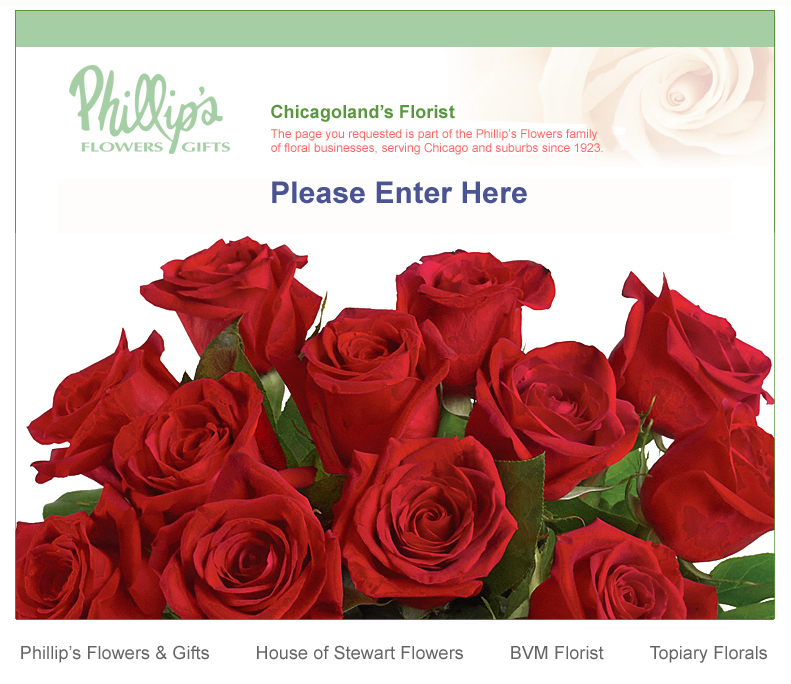Enter Our Website Here